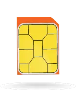 micro-sim